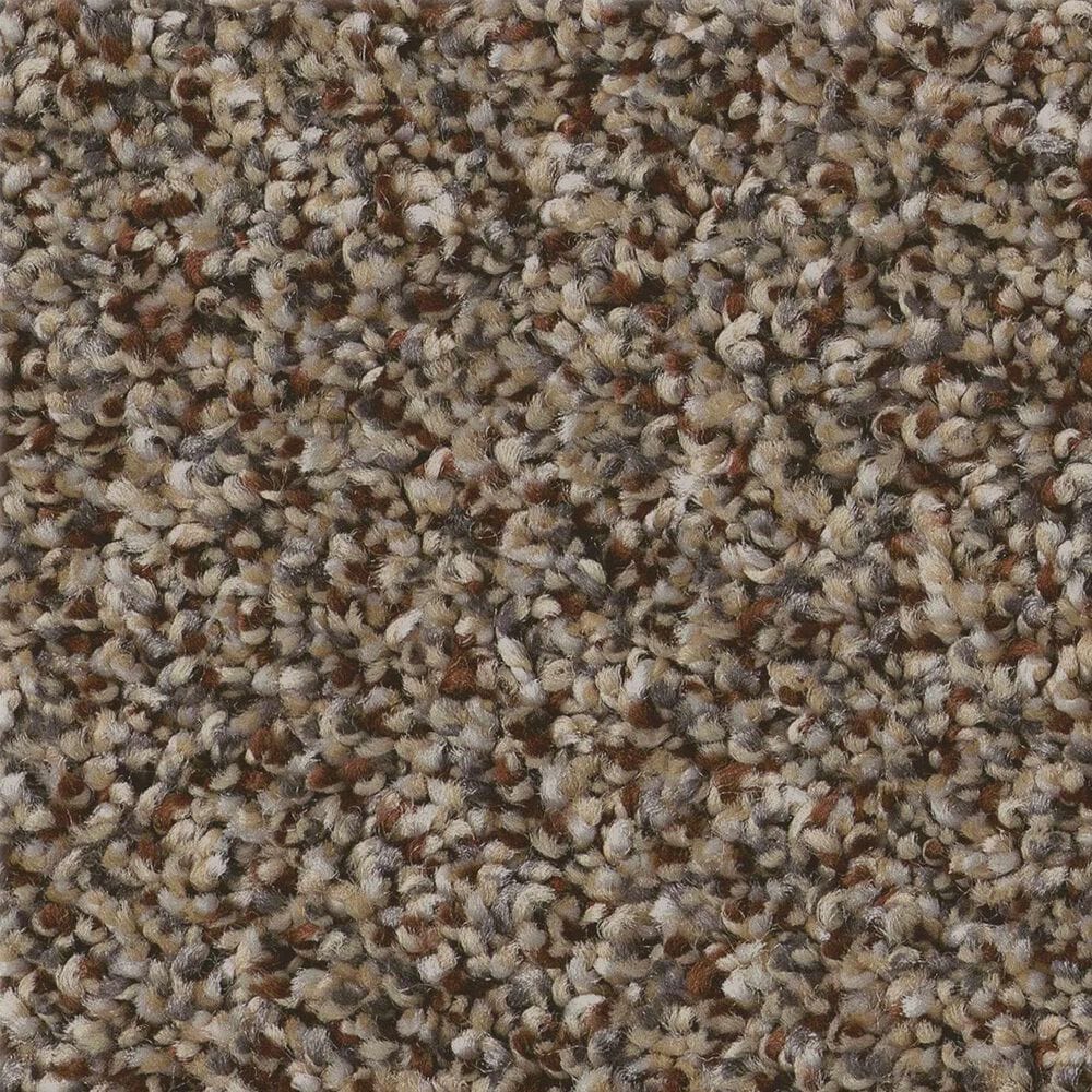 Shaw Renewed Energy II Carpet in Freckles, , large