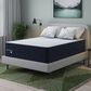 Dreamfinity by Sealy Select Medium Euro Top Queen Mattress with Low Profile Box Spring, , large