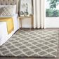Safavieh Dallas Shag SGD258G-5 5"1" x 7"6" Grey/Ivory Area Rug, , large
