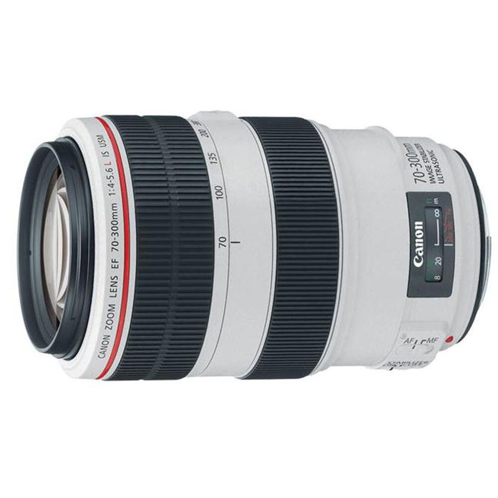 Canon EF 70-300mm f/4-5.6L IS USM Telephoto Zoom Lens, , large