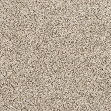 Mohawk Canine Chic Carpet in Fawn, , large