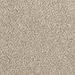 Mohawk Canine Chic Carpet in Fawn, , large
