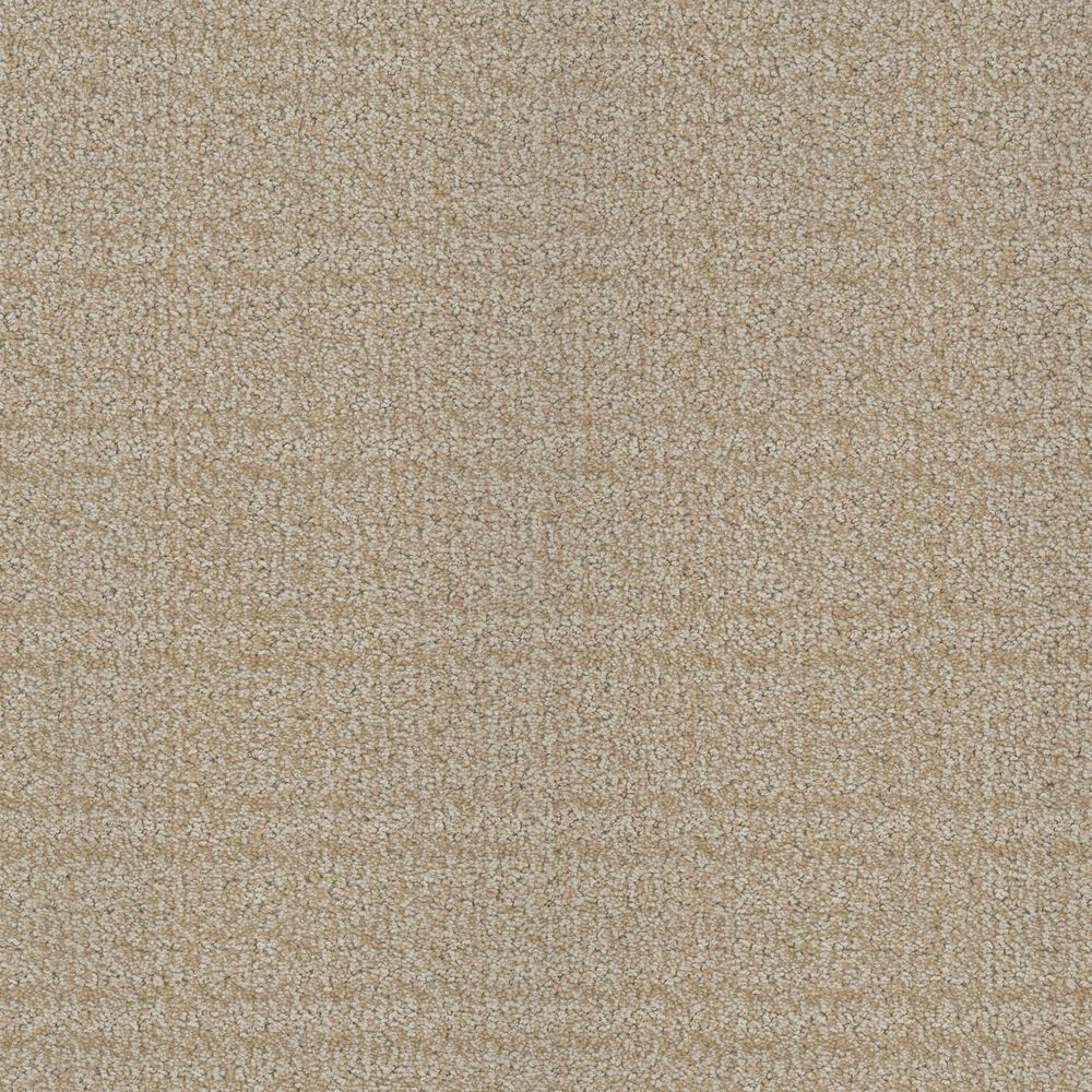 Masland Highbred Carpet in Terrier, , large
