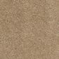 Anderson Tuftex Barracan Classic III Carpet in Brass Lantern, , large