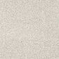 Dixie Home Gentle Wind Carpet in Seashell, , large