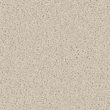 Dixie Home Devotion Carpet in Antique White, , large