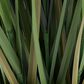 Maple and Jade 60" Indoor/Outdoor Tall Artificial Onion Grass with Black Plastic Pot in Green, , large