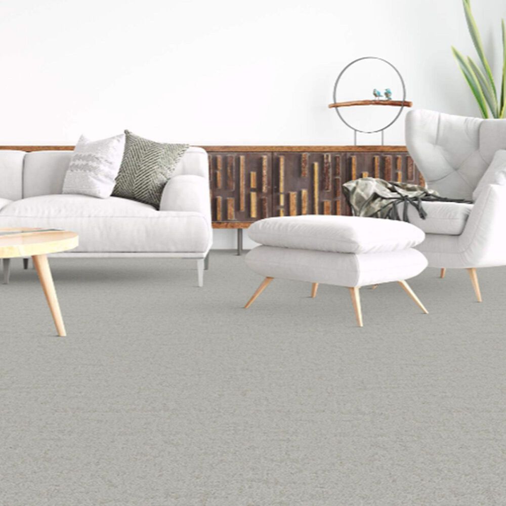 Dixie Home Genuine Carpet in Genuine, , large