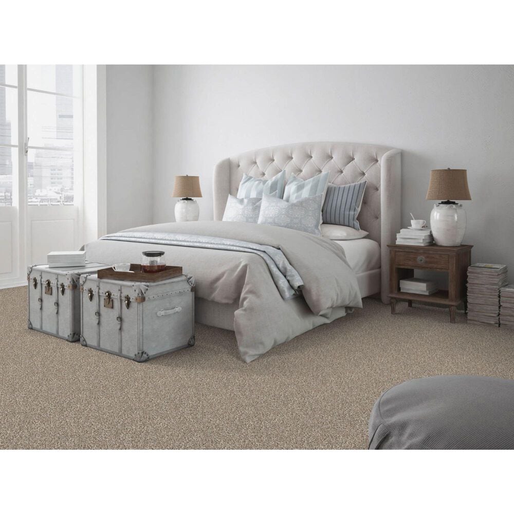 Dixie Home Simplicity Carpet in Yosemite, , large