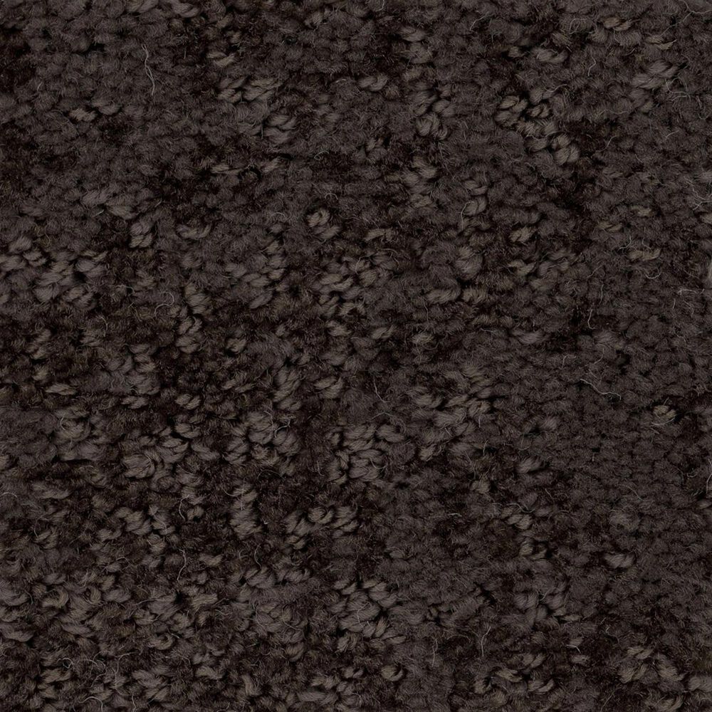 Anderson Tuftex Caress by Shaw Artistic Presence Carpet in Burma Brown, , large
