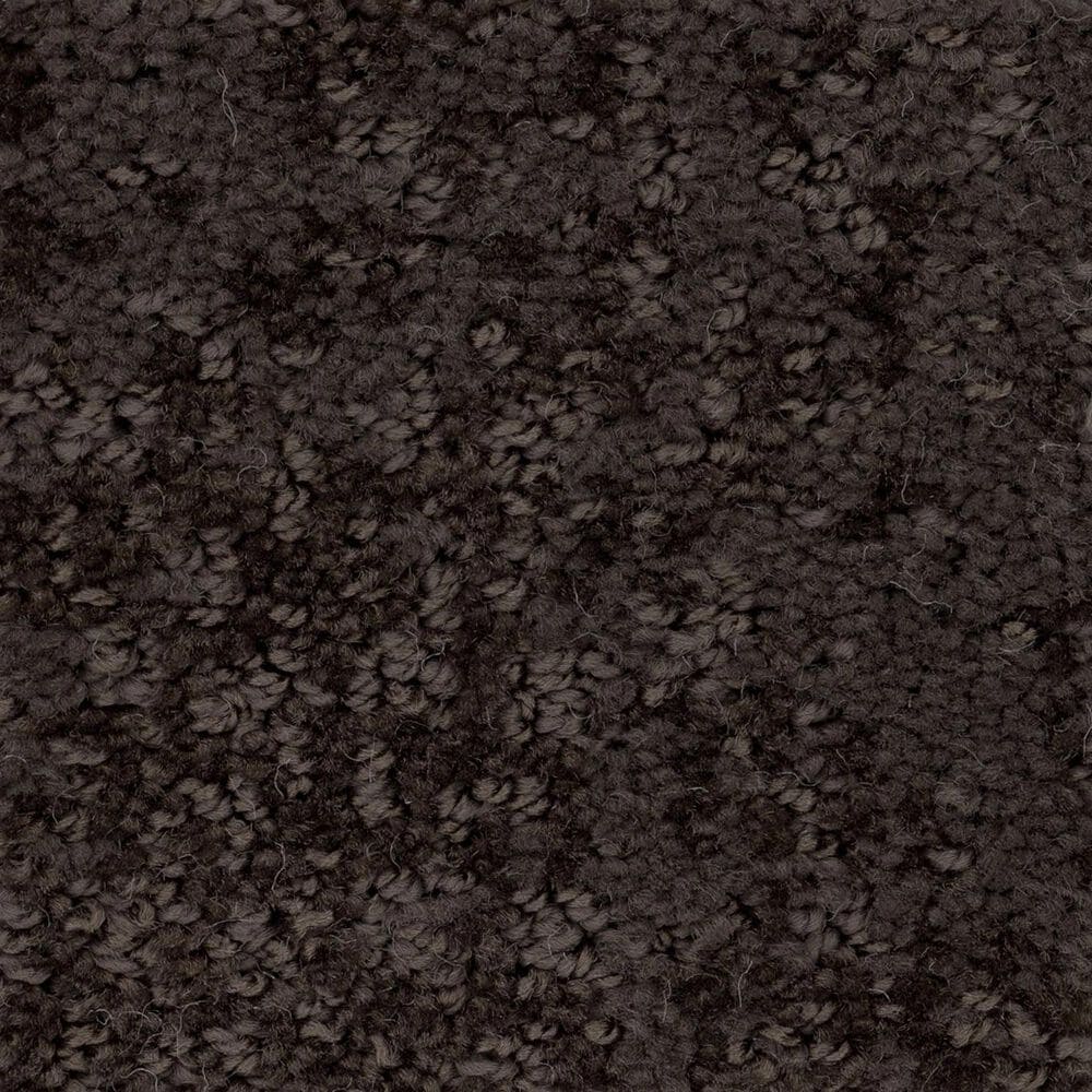 Anderson Tuftex Caress by Shaw Artistic Presence Carpet in Burma Brown, , large