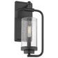 Golden Lighting Holden Wall Sconce in Matte Black, , large