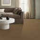 Anderson Tuftex Path Carpet in Amber Waves, , large