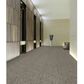Shaw Crazy Smart 18" x 36" Carpet Tile in Savvy, , large