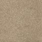 Mohawk Windsor Gardens II Carpet in Toasted Bagel, , large