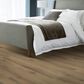 Karastan Sandalwood Grove Eden 9" x 72" Luxury Vinyl Plank, , large