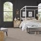 Masland Wonderwall Carpet in Memories, , large