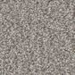 Shaw Tonal Comfort I Carpet in Sunday Stroll, , large