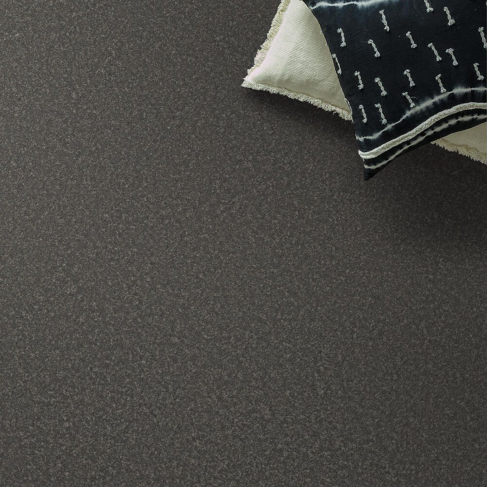 Shaw Bold Move Plus Carpet in Charcoal, , large