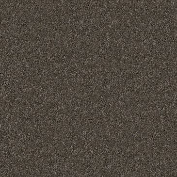 Dixie Home Guard Carpet in Schnauzer, , large