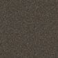 Dixie Home Guard Carpet in Schnauzer, , large
