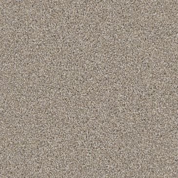 Dixie Home Devotion Carpet in Windsor, , large