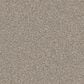 Dixie Home Devotion Carpet in Windsor, , large