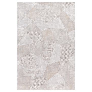 Surya Carmel  9" x 12" White, Ivory, Gray and Taupe Area Rug, , large