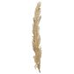 Maple and Jade 47" x 14" x 2" Polystone Bird Large Feather Wall Decor in Gold, , large