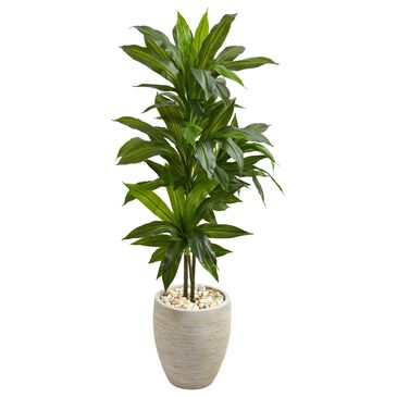 Nearly Natural Inc 4" Dracaena with Sand Colored Planter in Green, , large