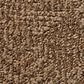 Anderson Tuftex Luna Carpet in Desert Beach, , large