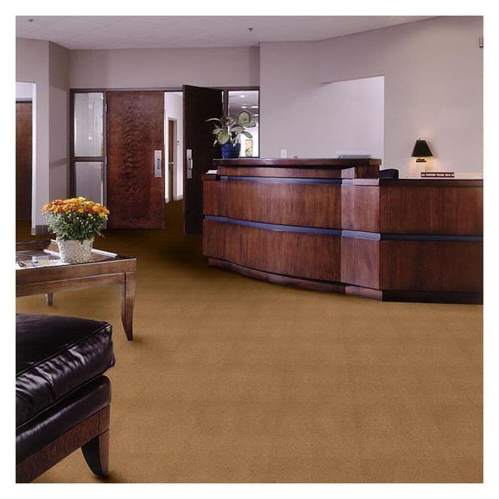 Shaw Emphatic II 36 Carpet in Cajan, , large