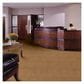 Shaw Emphatic II 36 Carpet in Cajan, , large