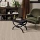 Anderson Tuftex Laken Carpet in Palmetto, , large