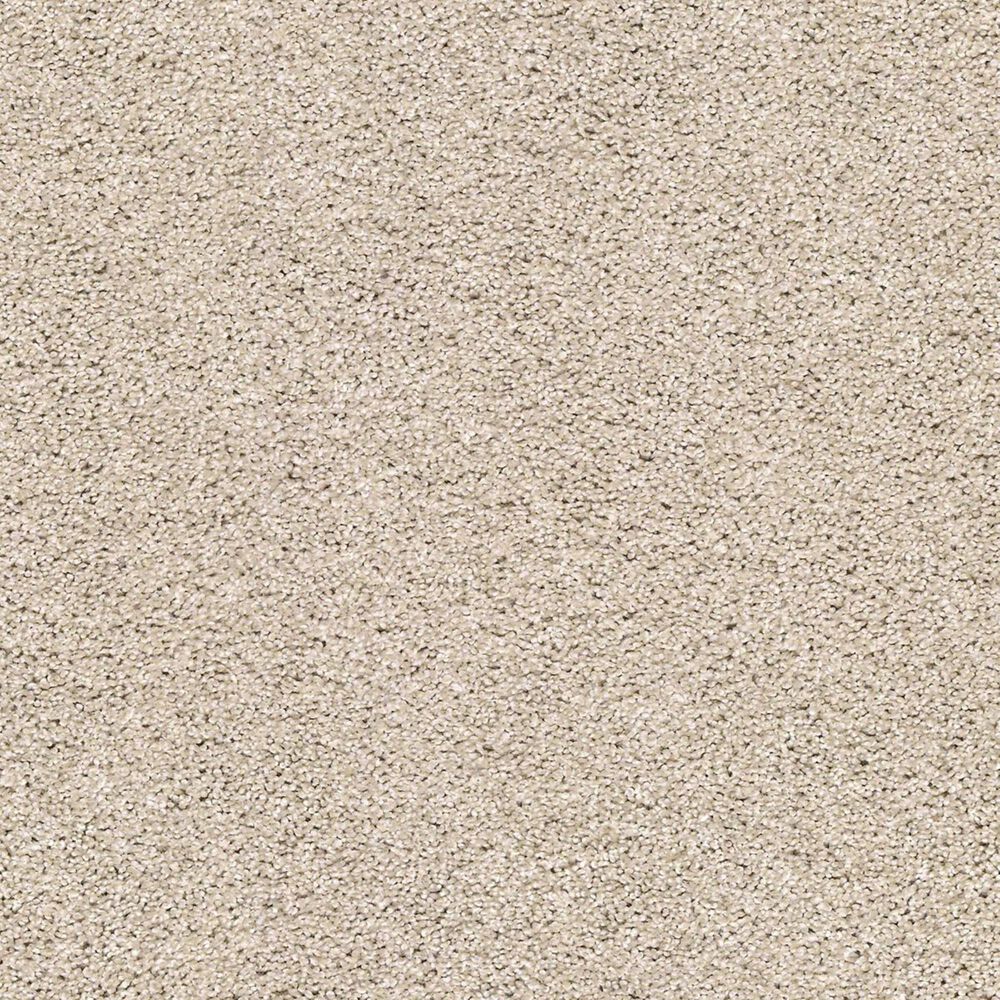 Shaw Acadia Park Carpet in Smoky Suede, , large