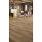 Mannington Adura Flex Regency Oak Lynx 7" x 48" Vinyl Plank, , large
