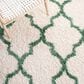 Safavieh Venus Shag 4" x 6" Ivory and Green Area Rug, , large