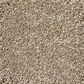 Shaw Your Comfort I Carpet in Camping Trip, , large