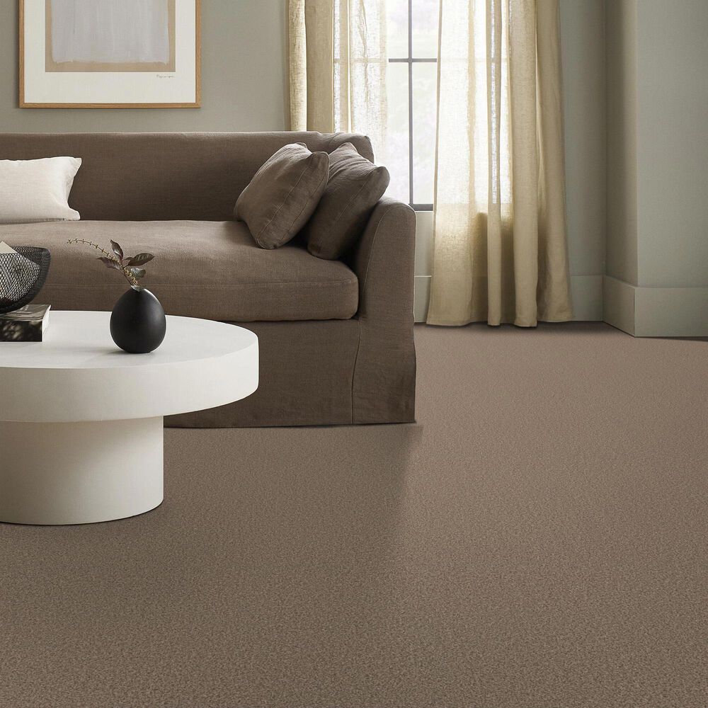 Anderson Tuftex Fabulous Carpet in Distant Land, , large