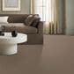 Anderson Tuftex Fabulous Carpet in Distant Land, , large