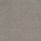 Safavieh Athens Shag SGA119F-8 8" x 10" Light Grey Area Rug, , large