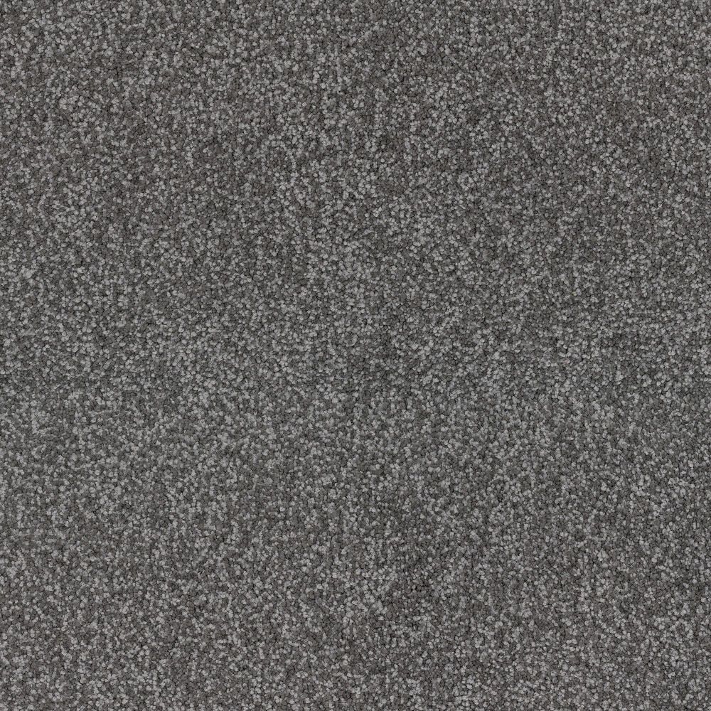 Dixie Home Bolt Carpet in Bike, , large