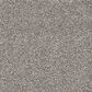 Mohawk Blended Moments Carpet in Tudor, , large