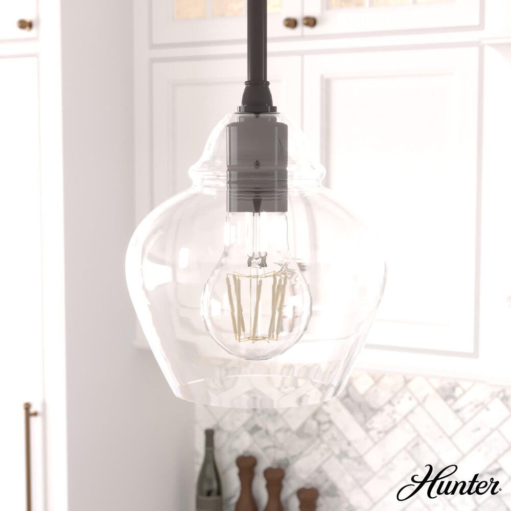 Hunter Dunshire 6.75&quot; 1-Light Mini Pendant with Clear Shade in Noble Bronze, , large