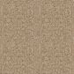 Anderson Tuftex Vignette Carpet in Landmark, , large