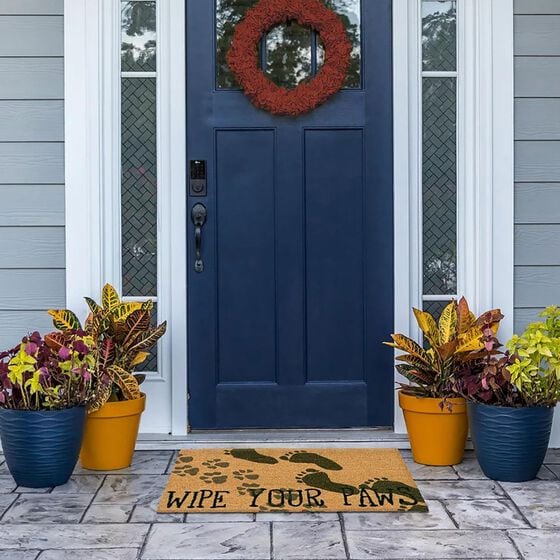 Trans-Ocean Import Natura Wipe Your Paws Natural Door Mat
