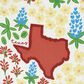 One Hundred 80 Degrees 18" x 28" Texas Bloom Dish Towel in Red, , large