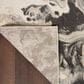 Nourison Elegance 2"2" x 3"9" Charcoal, Beige and Cream Area Rug, , large