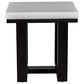 Crystal City Lucca End Table in Ebony and White, , large