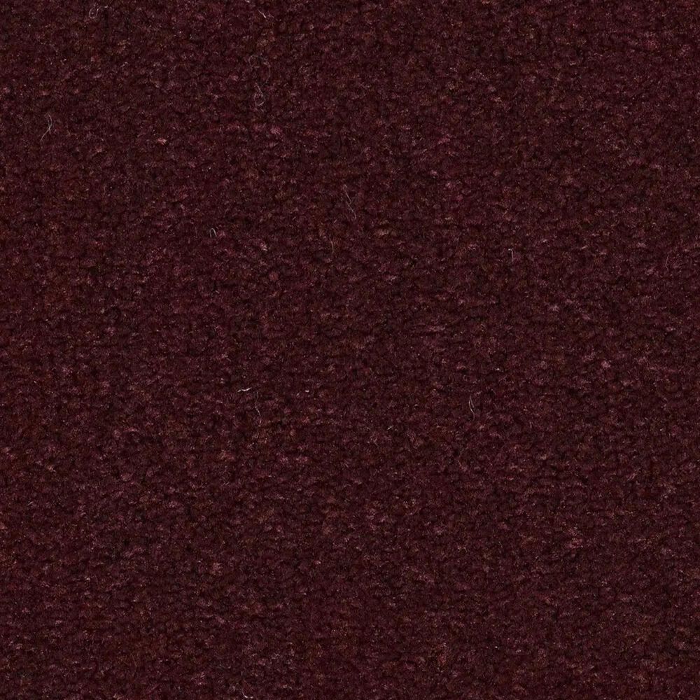 Anderson Tuftex Finery Carpet in Winery, , large